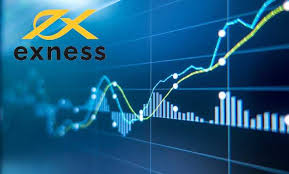 Exploring the Diversified Range of Exness Trading Instruments