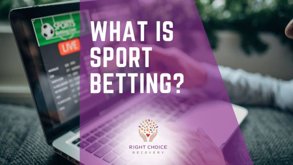 Best Multi-Sport Betting Platforms 4
