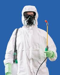 Избавление от тараканов Новосибирск