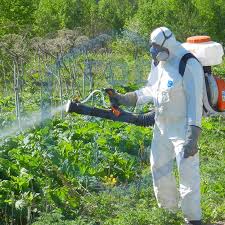 Избавление от тараканов Новосибирск