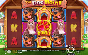 도그하우스 슬롯 최고의 슬롯 머신 게임 경험