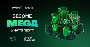 Understanding Multi-Brand Platform Management in the Digital Era