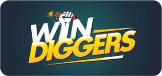 Win Diggers Online Casino Evaluation|Should You Play Here?