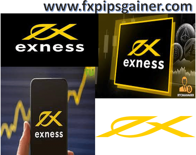 Understanding ECN Exness A Comprehensive Guide for Traders