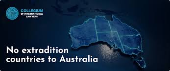 Safeguarding Yourself Against Misuse of Interpol's Red Notices