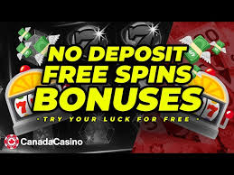 No Deposit Casino Bonus Codes Unlock Free Chances to Win