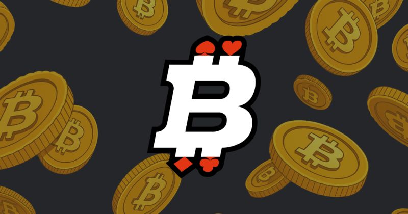 Understanding Crypto Betting Bots Profitability and Risks