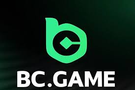Understanding BC Game Terms & Conditions for a Safer Gaming Experience