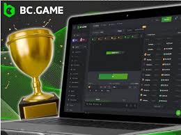 Understanding BC Game Terms & Conditions for a Safer Gaming Experience