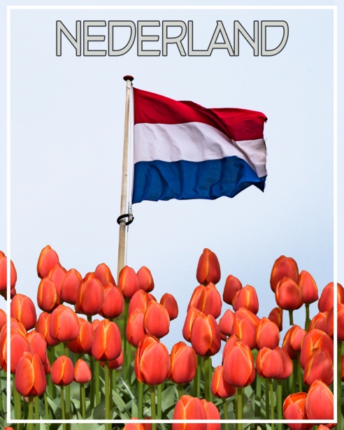 Uitgebreide Halte Informatie voor Efficiënte Reisplanning